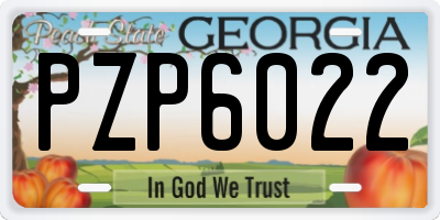 GA license plate PZP6022
