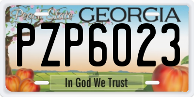 GA license plate PZP6023