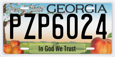 GA license plate PZP6024
