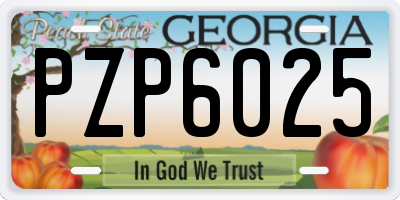GA license plate PZP6025