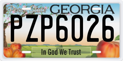 GA license plate PZP6026