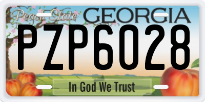 GA license plate PZP6028