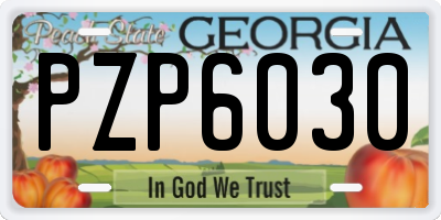 GA license plate PZP6030