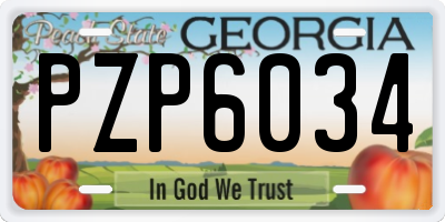 GA license plate PZP6034