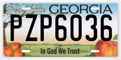 GA license plate PZP6036