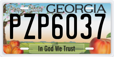 GA license plate PZP6037