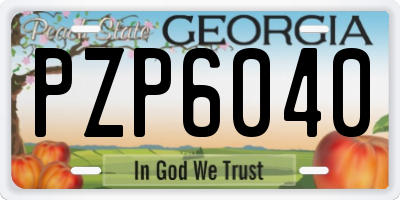 GA license plate PZP6040