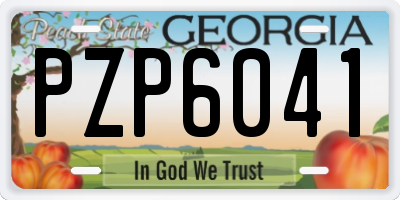 GA license plate PZP6041