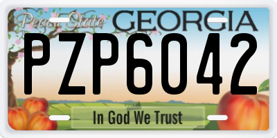 GA license plate PZP6042