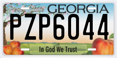 GA license plate PZP6044