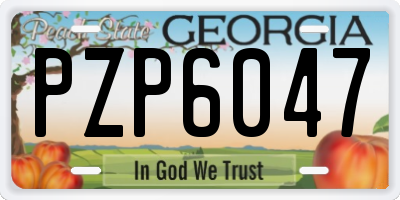 GA license plate PZP6047