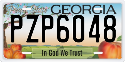 GA license plate PZP6048