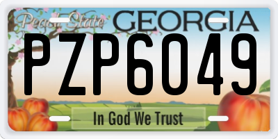 GA license plate PZP6049