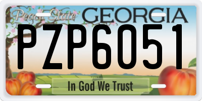 GA license plate PZP6051