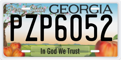 GA license plate PZP6052