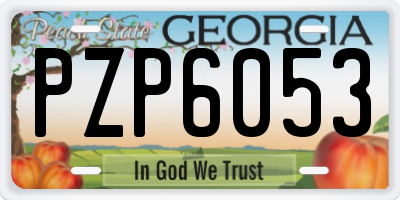 GA license plate PZP6053
