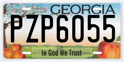 GA license plate PZP6055