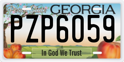 GA license plate PZP6059