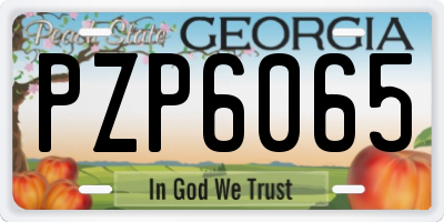 GA license plate PZP6065