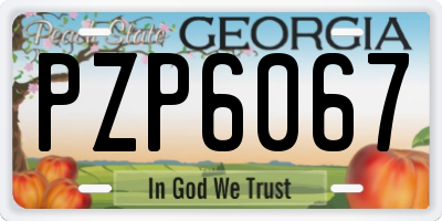 GA license plate PZP6067