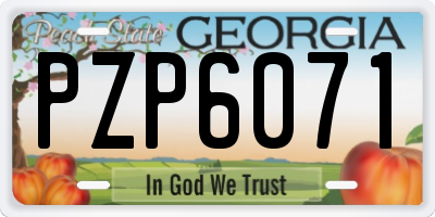 GA license plate PZP6071