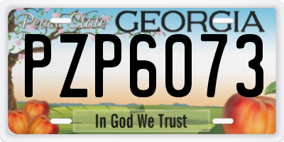 GA license plate PZP6073
