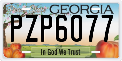 GA license plate PZP6077