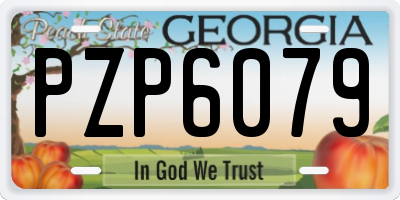 GA license plate PZP6079
