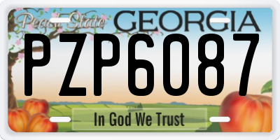 GA license plate PZP6087