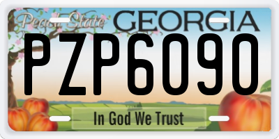 GA license plate PZP6090