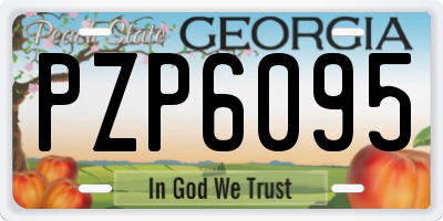 GA license plate PZP6095