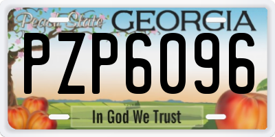 GA license plate PZP6096