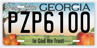 GA license plate PZP6100
