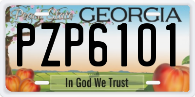 GA license plate PZP6101