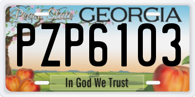 GA license plate PZP6103