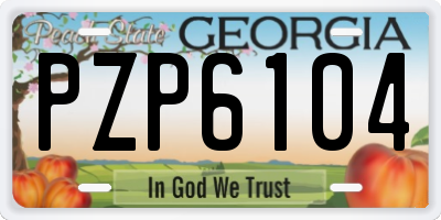 GA license plate PZP6104