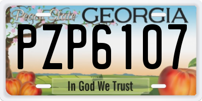 GA license plate PZP6107