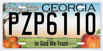 GA license plate PZP6110