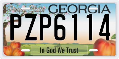 GA license plate PZP6114