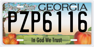 GA license plate PZP6116
