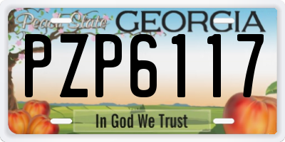 GA license plate PZP6117
