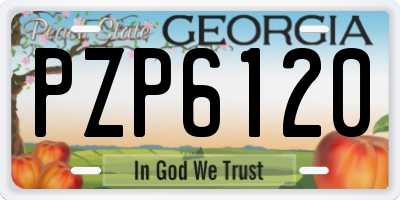 GA license plate PZP6120