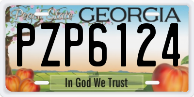 GA license plate PZP6124
