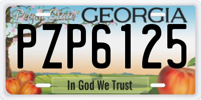 GA license plate PZP6125