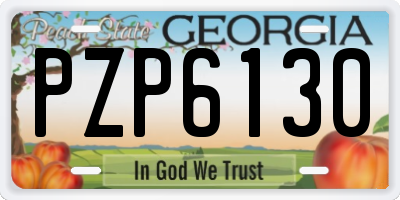 GA license plate PZP6130