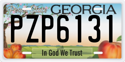 GA license plate PZP6131