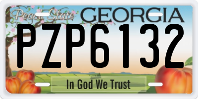GA license plate PZP6132