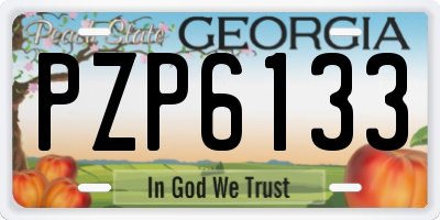 GA license plate PZP6133