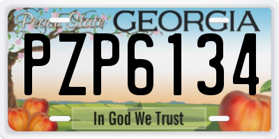 GA license plate PZP6134