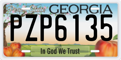 GA license plate PZP6135